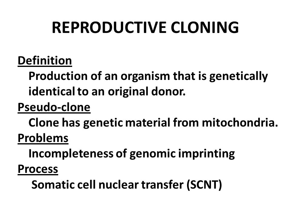Does Human Cloning Produce An Embryo?